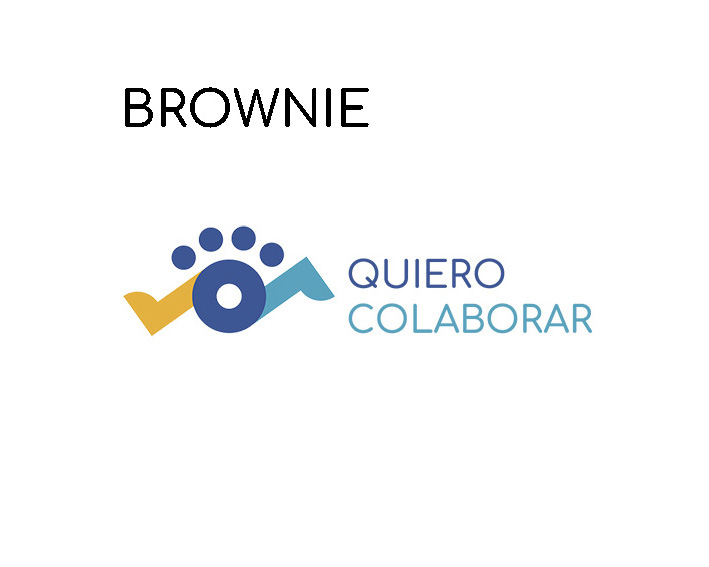 Proyecto Blue Brownie
